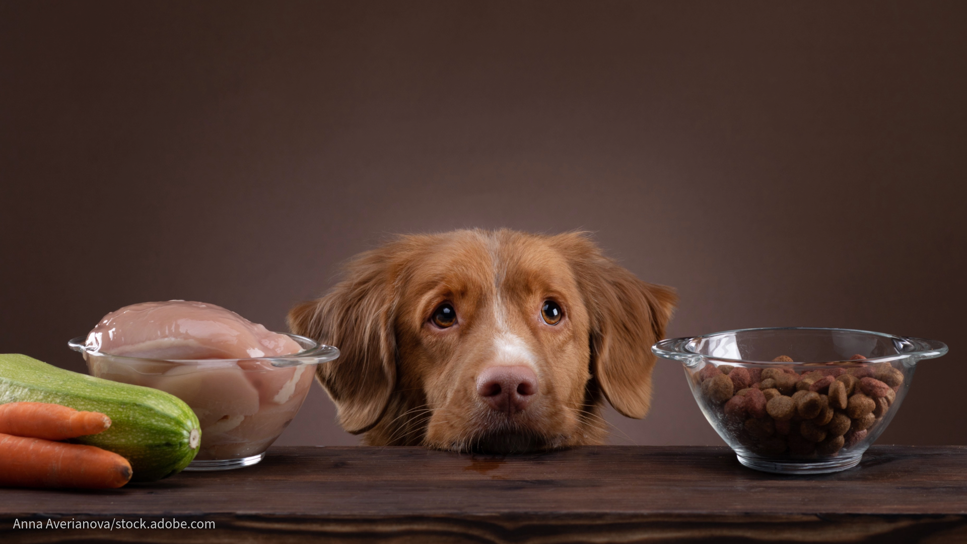 Huhn gegen Juckreiz, Lamm für sensible Hunde? Das (Beratungs-)Märchen vom richtigen Fleisch