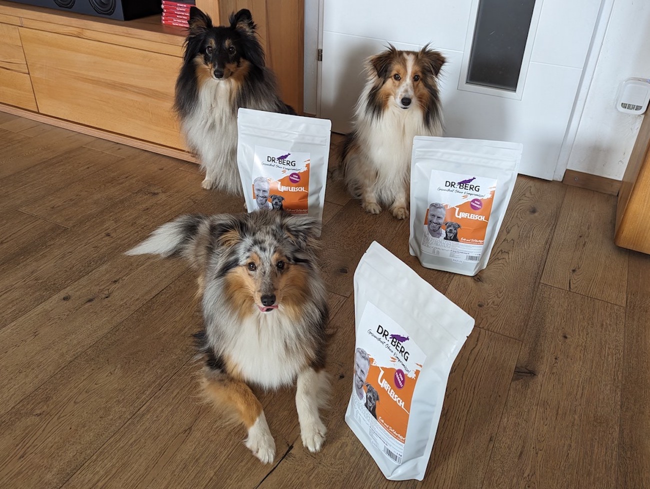 Three beautiful shelties are happy about their new food, URFLEISCH from Dr. Berg Pet Food