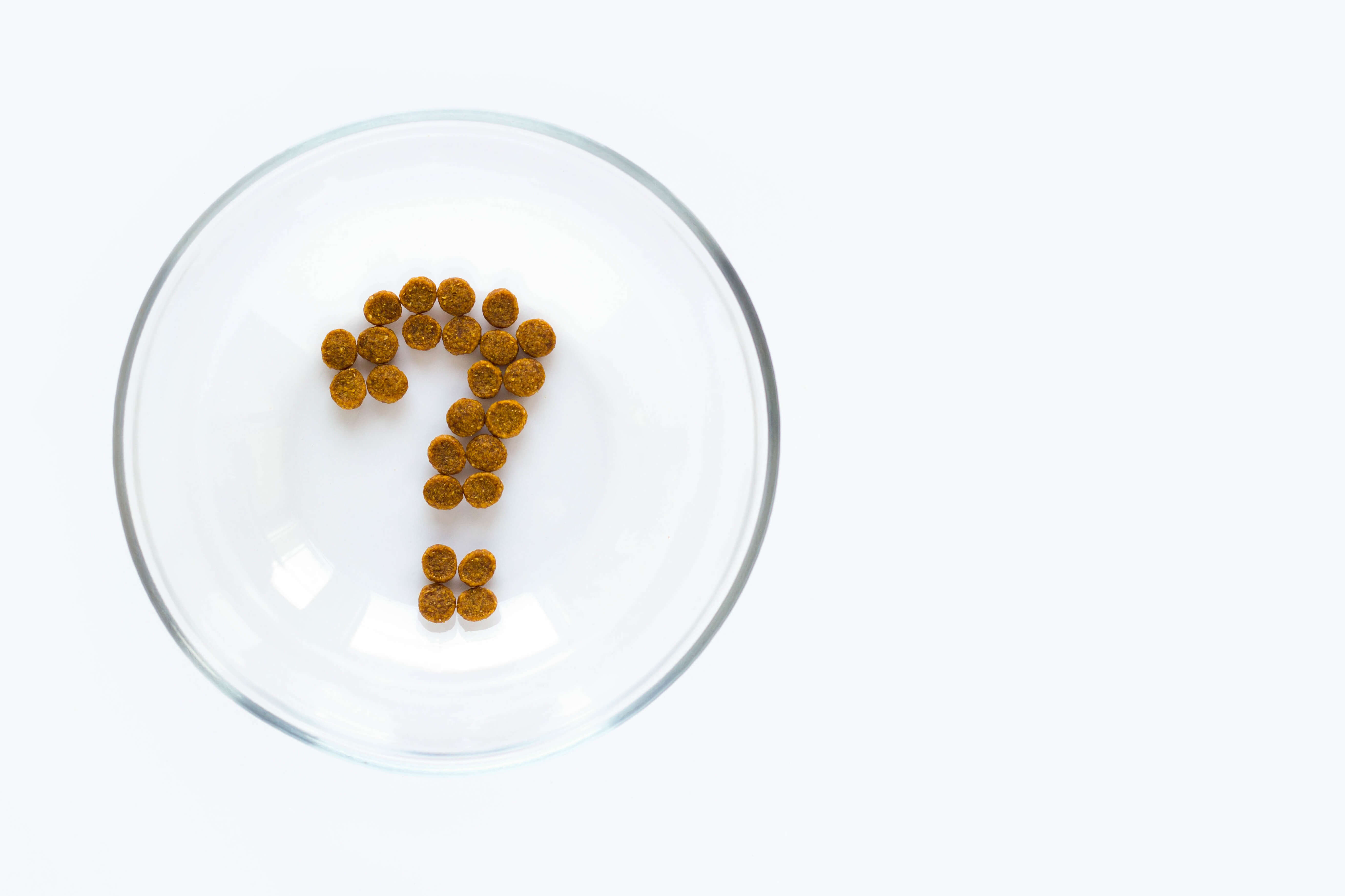 dry food question Question marks made of dry food