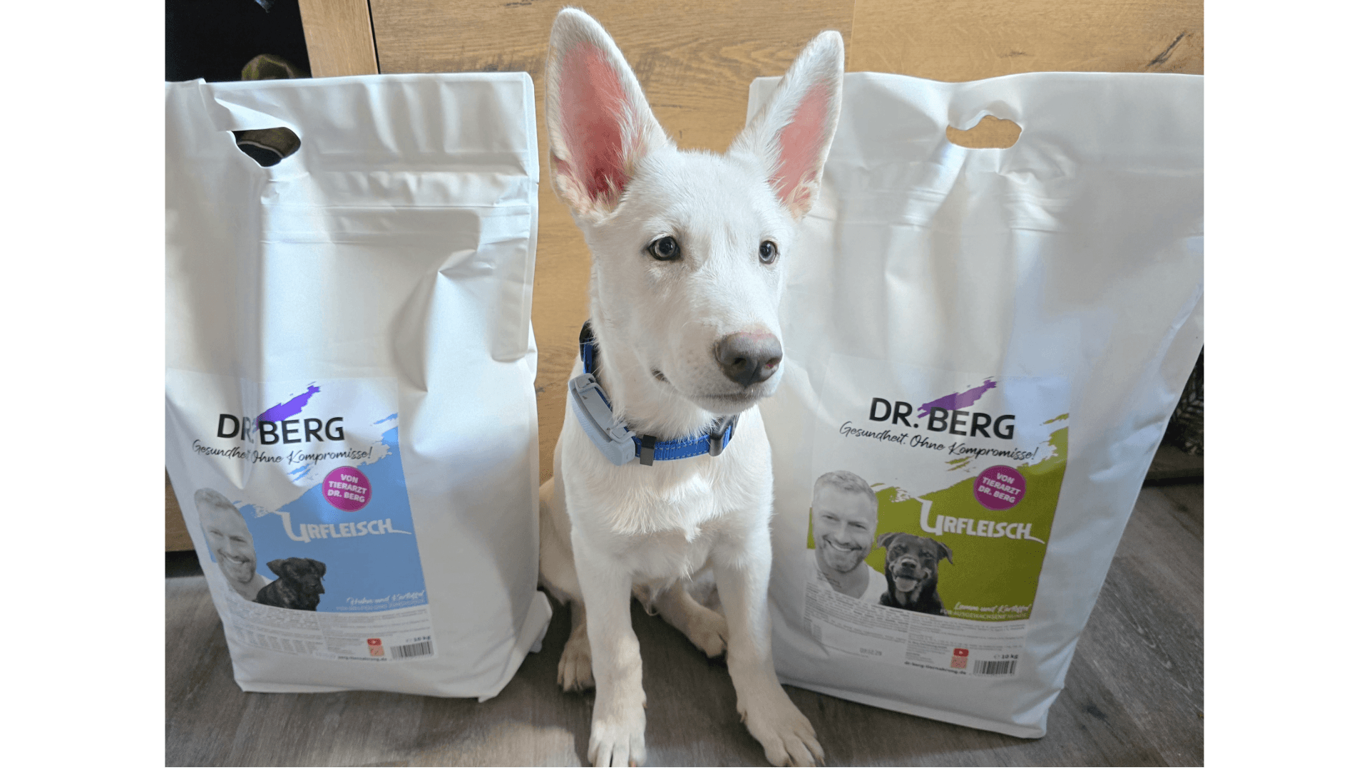 Kundenerfahrung zu Dr. Berg URFLEISCH für Welpen