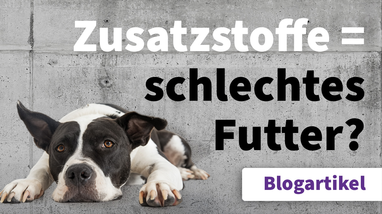Additives = poor-quality pet food? Veterinary Dr. Gregor Berg