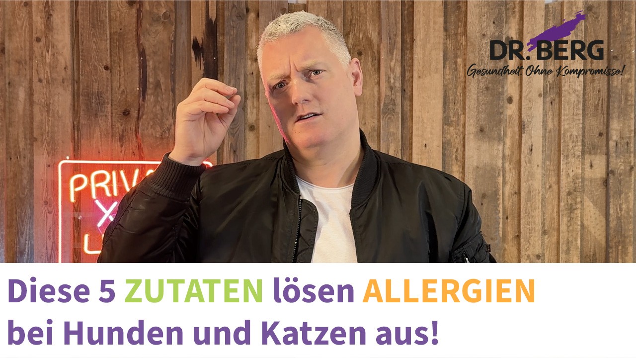 Diese 5 Zutaten lösen Allergien bei Hunden und Katzen aus! I Tierarzt Dr. Gregor Berg