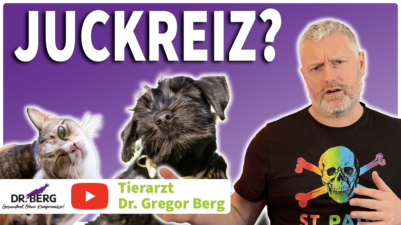 �������� Hilfe, mein Tier kratzt sich ständig! Ist das normal oder gefährlich? ❓