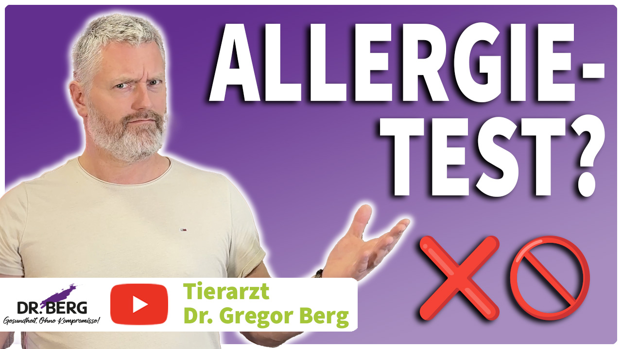 Allergietests bringen nichts – nur die Eliminationsdiät deckt die wahren Auslöser auf! 