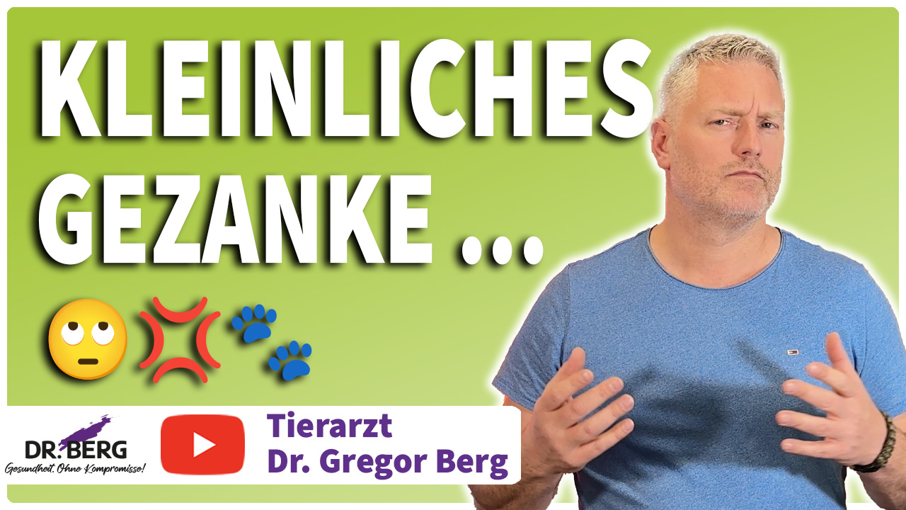 Warum kleinliches Gezanke nicht zu mehr Gesundheit führt – für Dich & Dein Tier