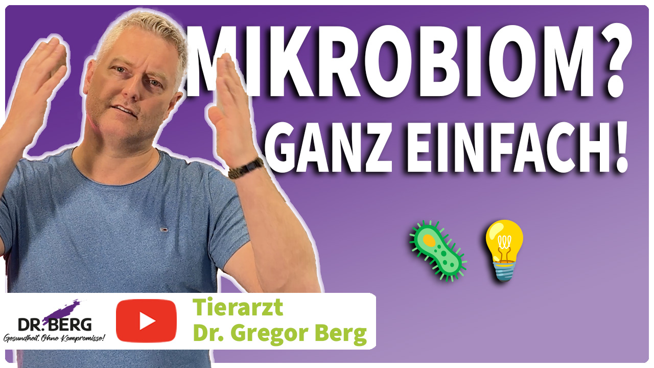 Mikrobiom: Das unterschätzte Organ Deines Hundes und Deiner Katze – und wie Du es stärkst 