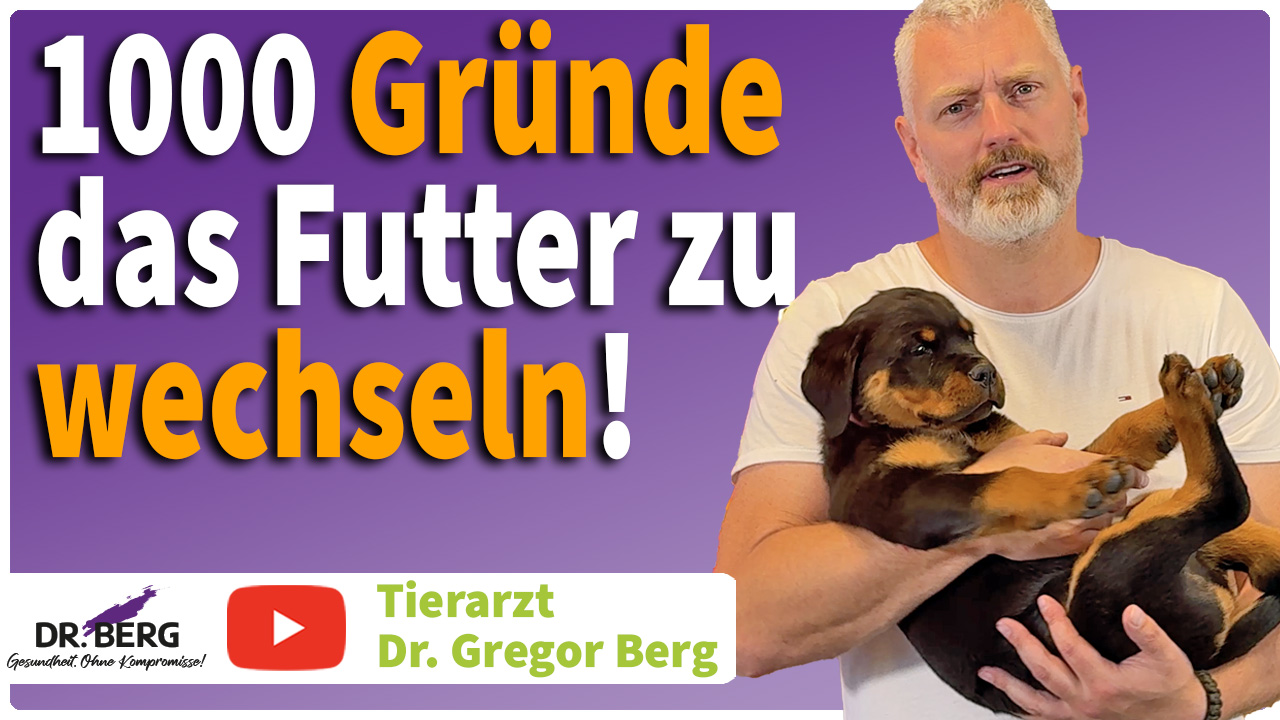 1000 Gründe das Futter zu wechseln! - Video von Tierarzt Dr. Gregor Berg