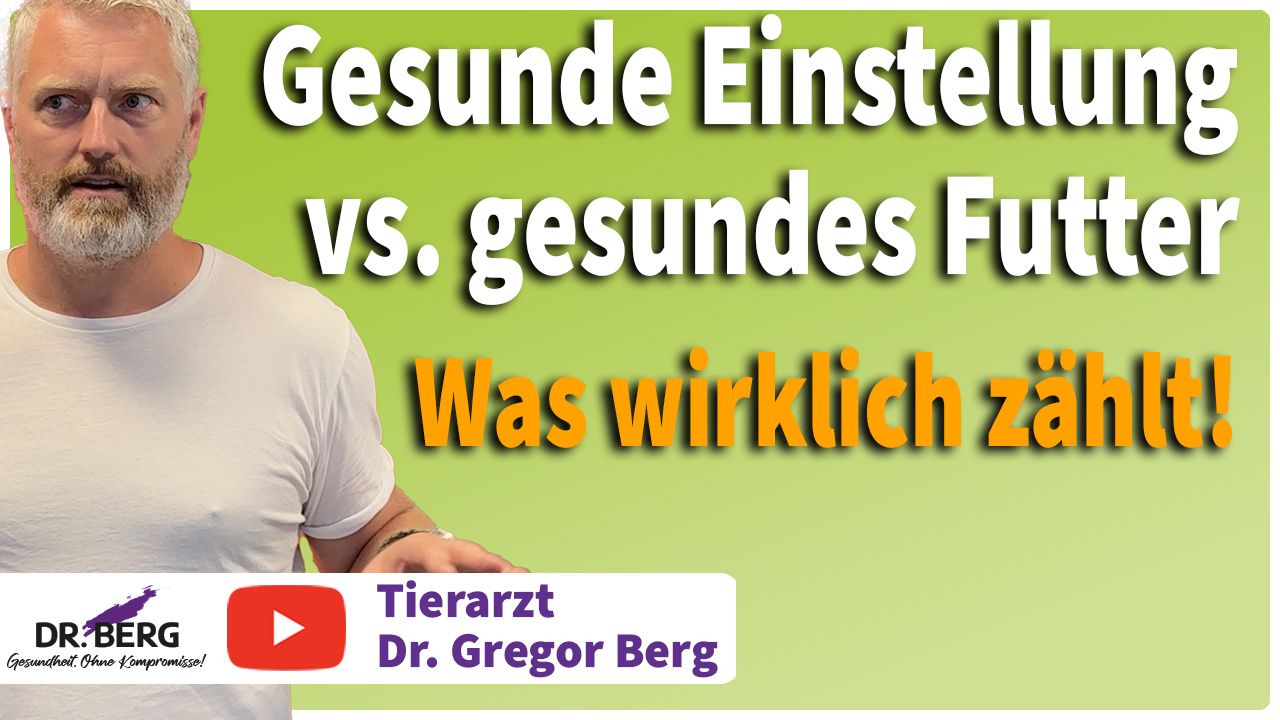 Gesunde Einstellung vs. gesundes Futter - Was wirklich zählt!