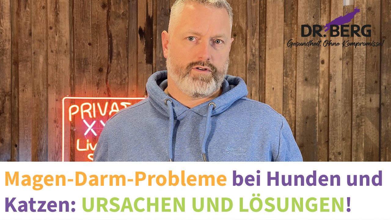 Magen-Darm-Probleme bei Hunden und Katzen: Ursachen und Lösungen!
