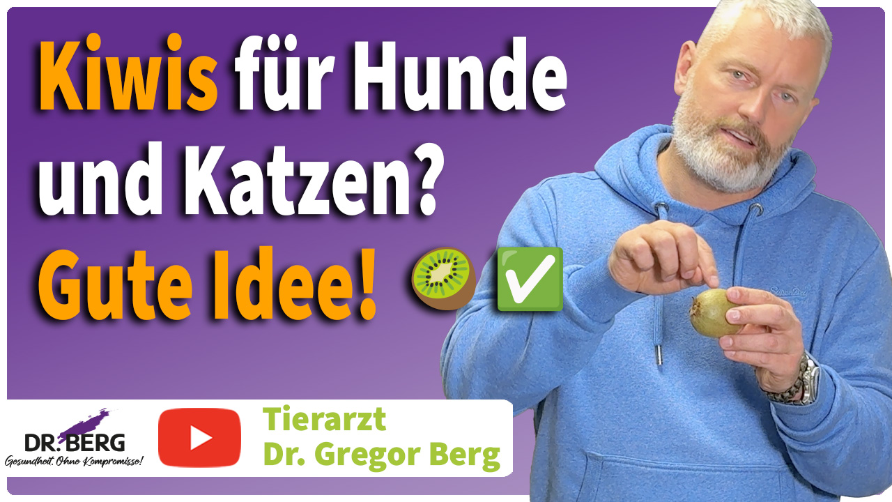 Kiwis für Hunde und Katzen? Gute Idee! Video von Tierarzt Dr. Gregor Berg
