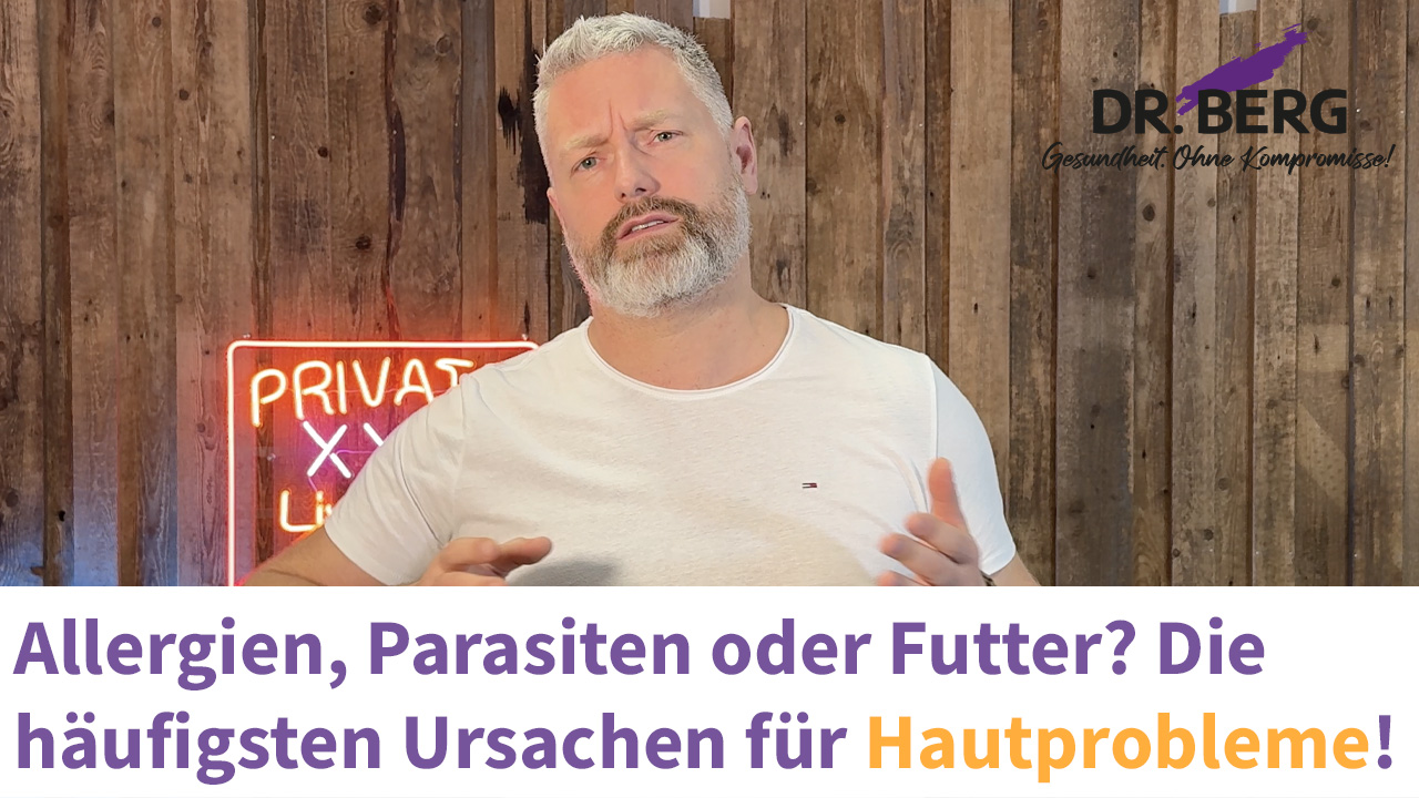 Allergien, Parasiten oder Futter? Die häufigsten Ursachen für Hautprobleme!