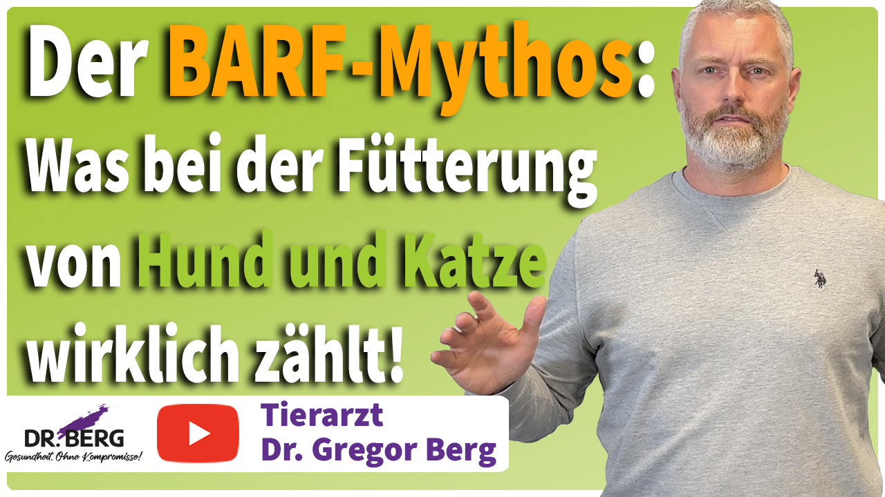 Der BARF-Mythos: Was bei der Fütterung von Hund und Katze wirklich zählt! I Tierarzt Dr. Gregor Berg