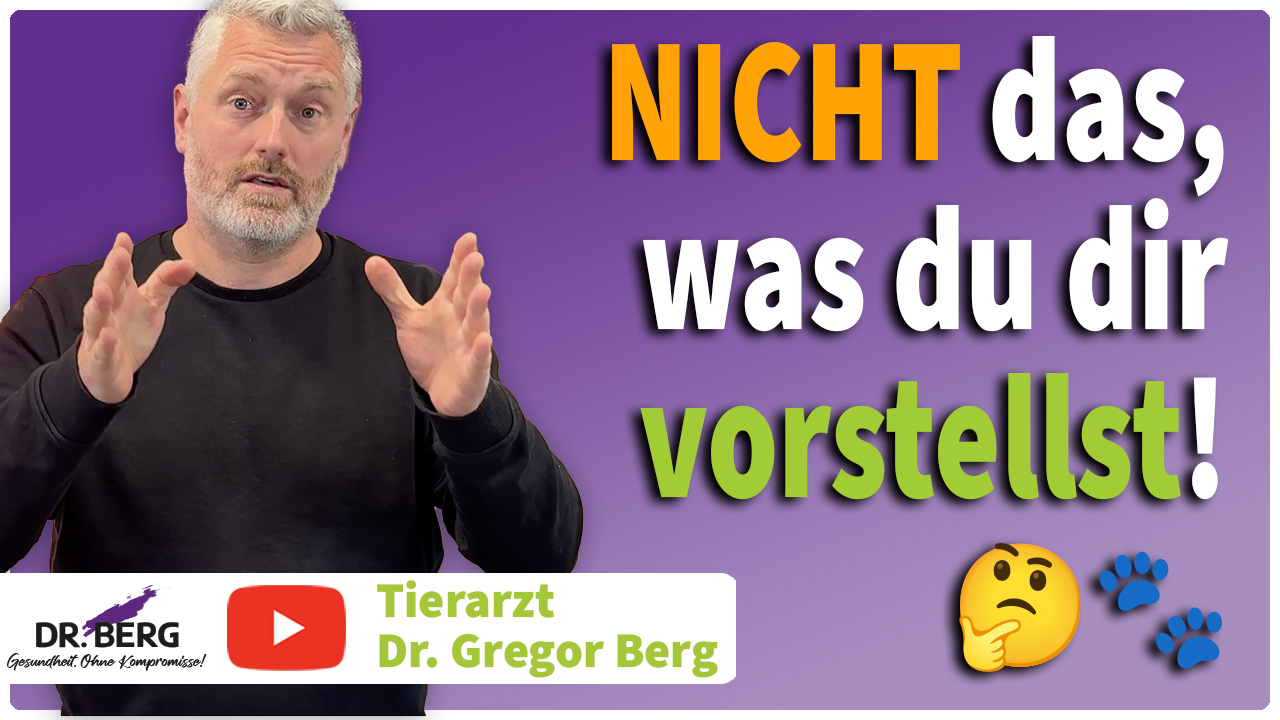 „Vom Tierarzt entwickelt“ – was bedeutet das? ����