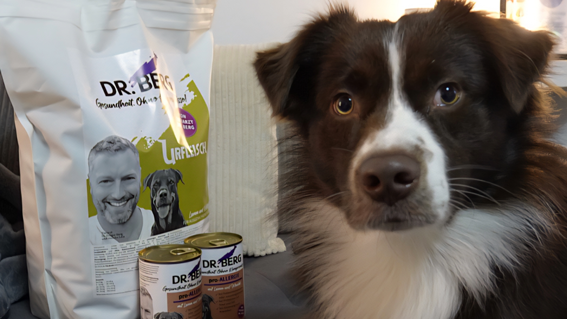 Border Collie Murphy liebt das Urfleisch Lamm und pro-Allergie von Dr. Berg