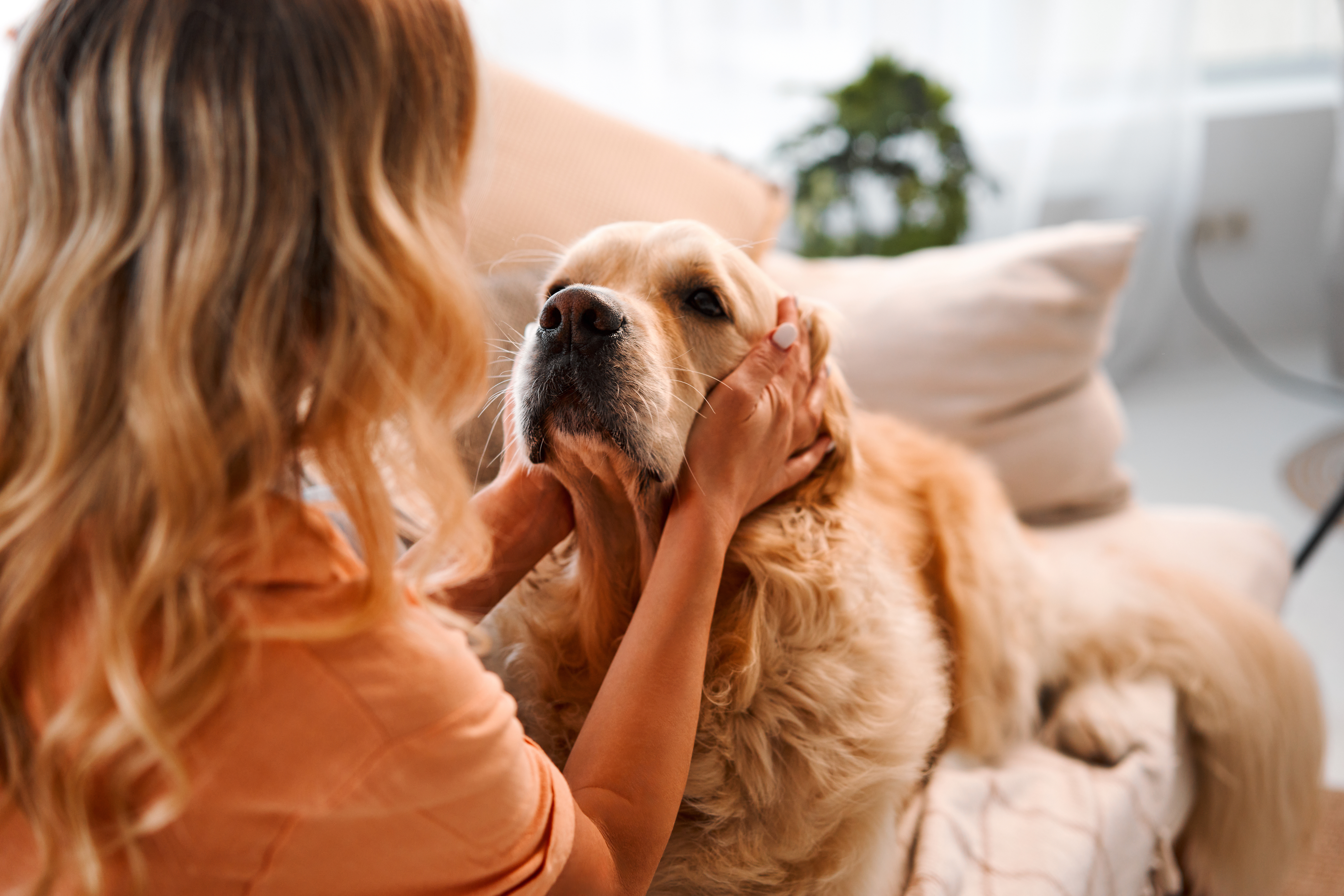 Hundebesitzer umarmt liebevoll seinen Hund, symbolisiert Unterstützung und Gemeinschaft für Hundebesitzer.