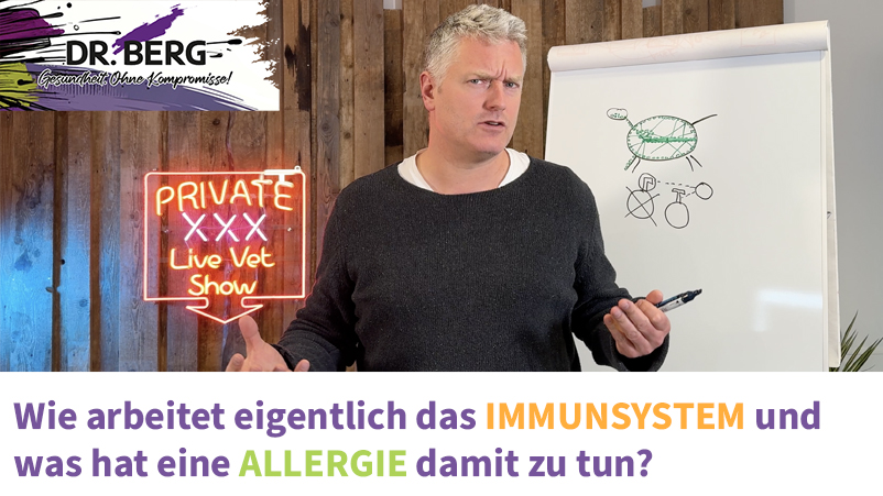 Wie arbeitet eigentlich das Immunsystem und was hat eine Allergie damit zu tun?