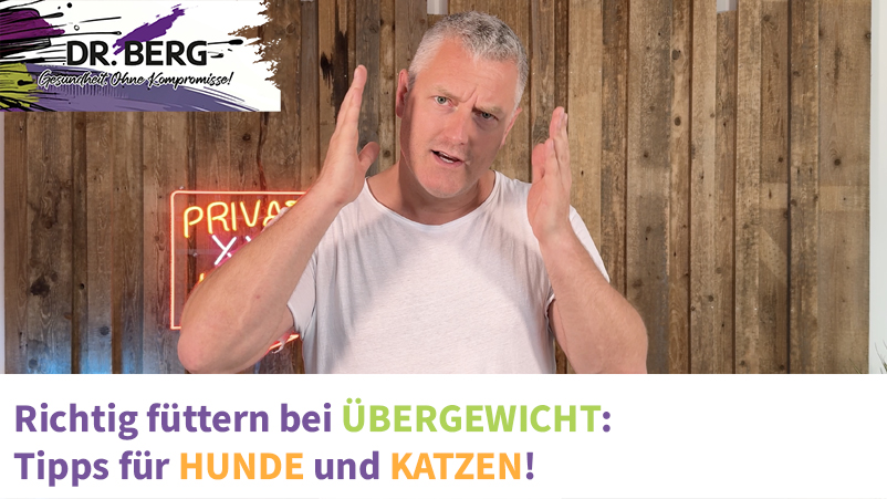 Richtig füttern bei Übergewicht: Tipps für Hunde und Katzen!
